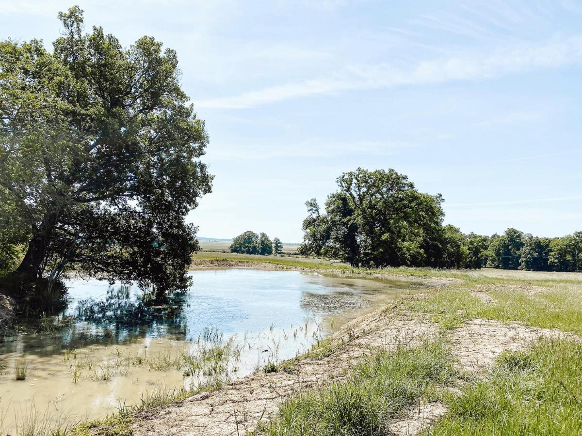 Le Val Suzenay Pensionat Vendeuvre-sur-Barse Exteriör bild