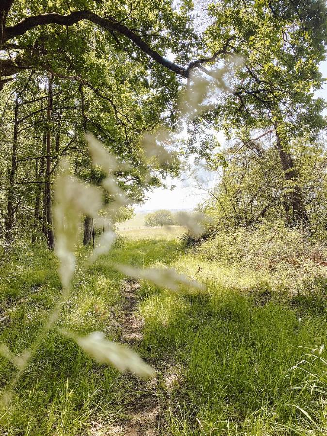 Le Val Suzenay Pensionat Vendeuvre-sur-Barse Exteriör bild